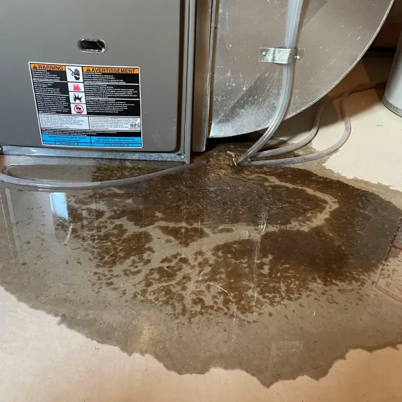Appliance Leak Cleanup in Pepeekeo, HI