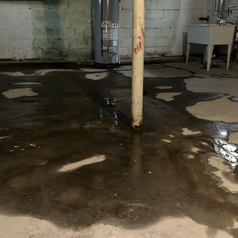 Emergency Water Extraction And Removal in Pepeekeo, HI